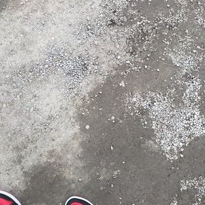 Meet your Posher, Terrell